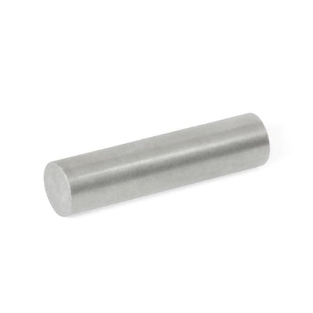 J.W. Winco GN55.3-AN-12-40 Raw Magnet Rod Shaped GN55.3